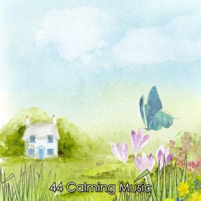 44 Calming Music album cover