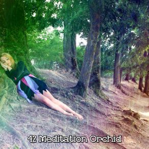 42 Meditation Orchid album cover