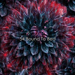 54 Bound To Bed album cover
