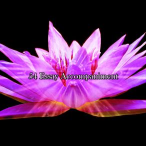 54 Essay Accompaniment album cover