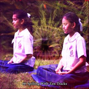 66 Spilling With Zen Tracks album cover