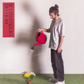 IL LINGUAGGIO DEI FIORI album cover