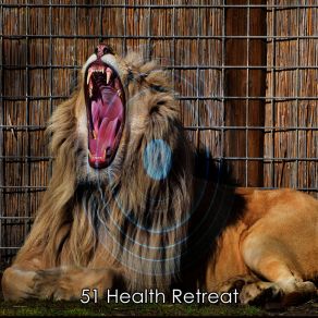 51 Health Retreat album cover