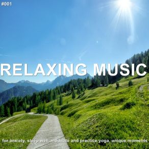 # 001 Relaxing Music For Anxiety, Sleep Well, Meditate And Practice Yoga, Unique Moments album cover