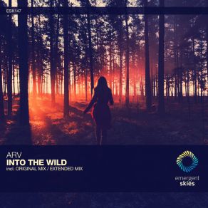 Into The Wild album cover