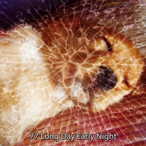 77 Long Day Early Night album cover