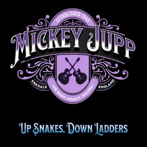 Up Snakes, Down Ladders album cover