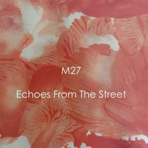 Echoes From The Street album cover