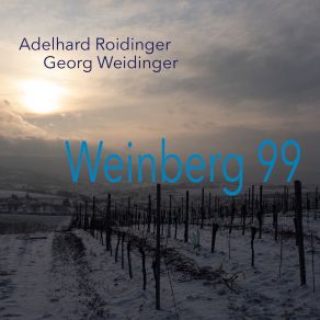 Weinberg 99 album cover