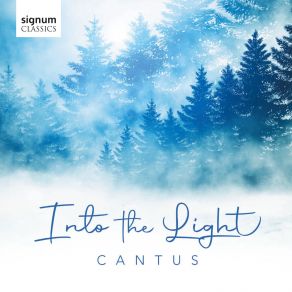 Into The Light album cover