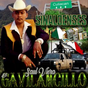 Los Sinaloenses album cover