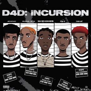 D4D INCURSION album cover