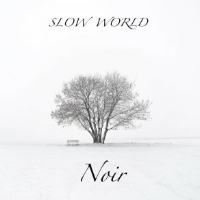 Noir album cover