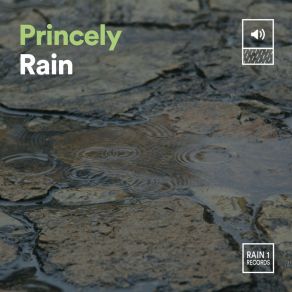 Princely Rain album cover