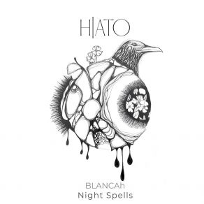 Night Spells album cover
