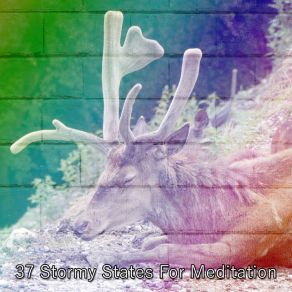 37 Stormy States For Meditation album cover