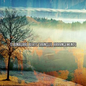 11 Binaural Beats Tranquil Arrangements album cover