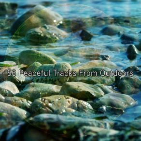 56 Peaceful Tracks From Outdoors album cover