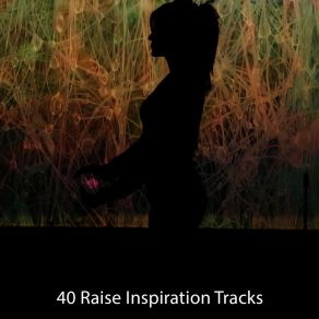 40 Raise Inspiration Tracks album cover