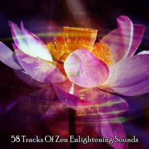 58 Tracks Of Zen Enlightening Sounds album cover