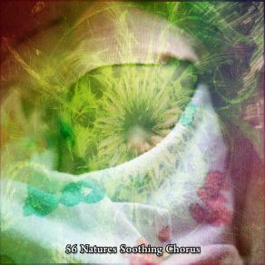 56 Natures Soothing Chorus album cover