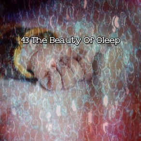43 The Beauty Of Sle album cover