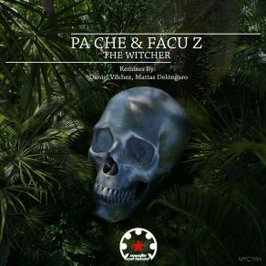 The Witcher album cover