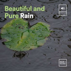 Beautiful And Pure Rain album cover