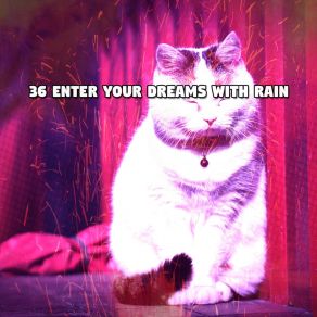36 Enter Your Dreams With Rain album cover