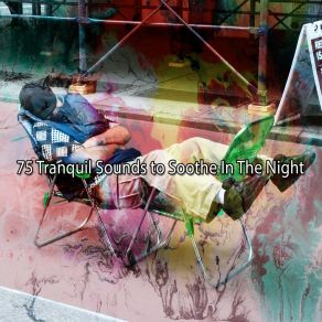 75 Tranquil Sounds To Soothe In The Night album cover
