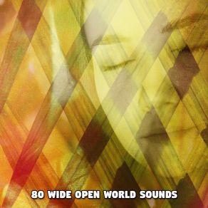 80 Wide Open World Sounds album cover