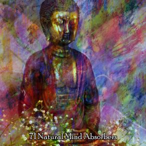 71 Natural Mind Absorbers album cover