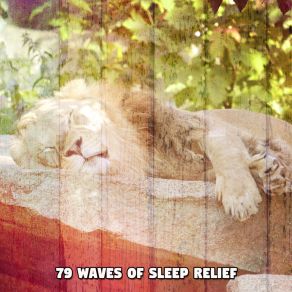 79 Waves Of Sleep Relief album cover