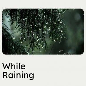 While Raining album cover
