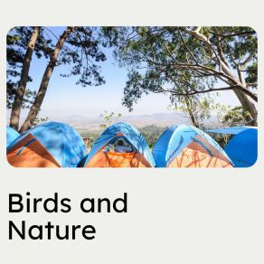 Birds And Nature album cover