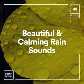 Beautiful & Calming Rain Sounds album cover