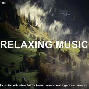 # 001 Relaxing Music For Contact With Nature, Feel The Breeze, Improve Breathing And Concentration album cover