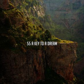 55 A Key To A Dream album cover