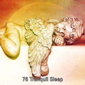 76 Tranquil Sle album cover