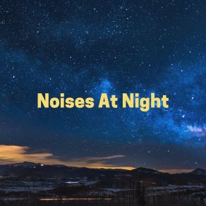 Noises At Night album cover