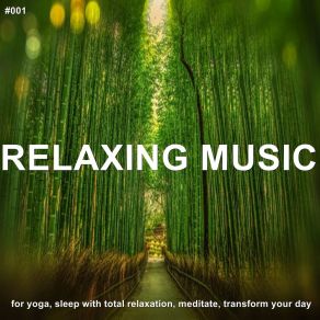 # 001 Relaxing Music For Yoga, Sleep With Total Relaxation, Meditate, Transform Your Day album cover
