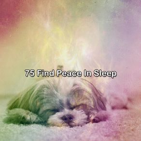 75 Find Peace In Sle album cover