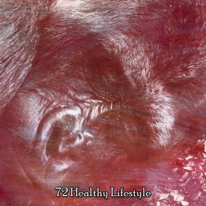 72 Healthy Lifestyle album cover