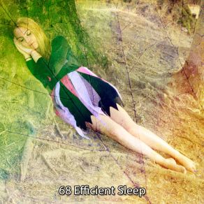 68 Efficient Sle album cover