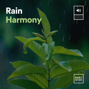 Rain Harmony album cover