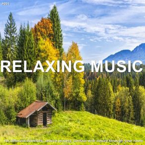 # 001 Relaxing Music For Different Activities, Reduce Anxiety, Contact With Nature Through Your Room album cover