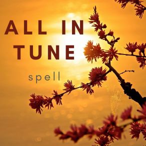 All In Tune album cover