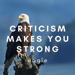 Criticism Makes You Strong album cover