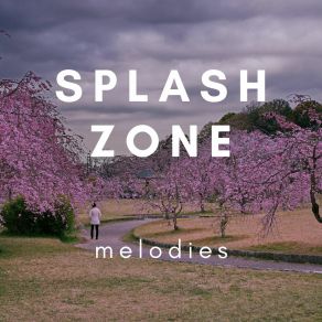 Splash Zone album cover