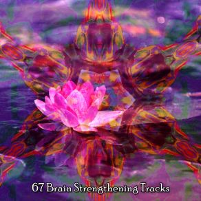 67 Brain Strengthening Tracks album cover